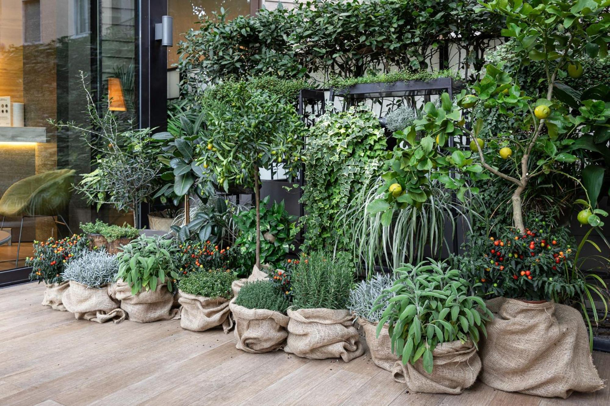 Hotel Starhotels Echo Milano
